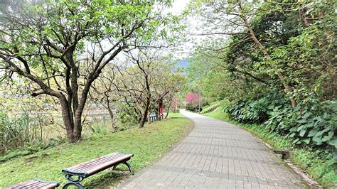 南港公園 能量|另類觀光勝地 地穴能量強大的台北南港公園 